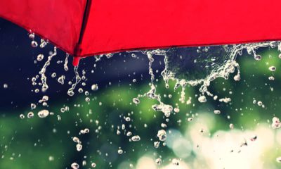 Photo of red umbrella and rain