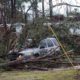 Photo of downed treed along Lee Road 11 in Alabama