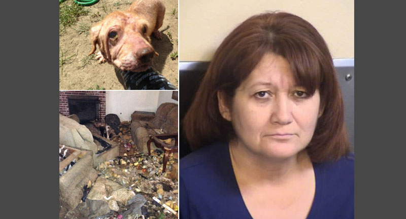 Kingsburg animal cruelty