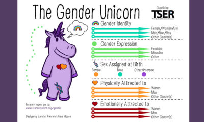 Gender Unicorn