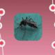 Illustration conveying mosquitoes and disease transmission