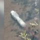 Photo of a pipe bomb underwater